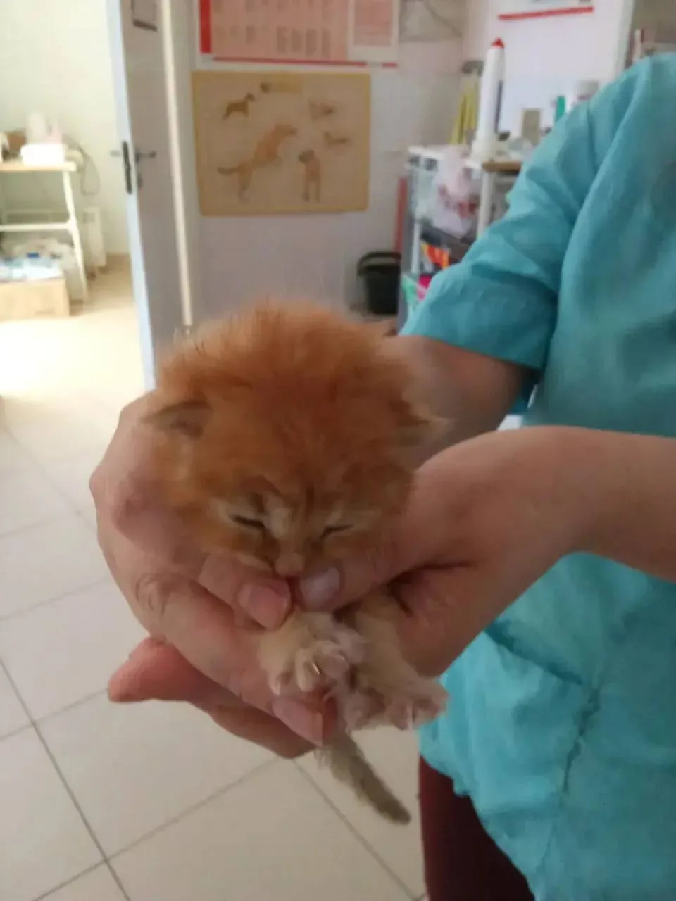 Невыносимо, кажется, этому кошмару не будет конца 😞 Сколько же вокруг этих бездушных о...