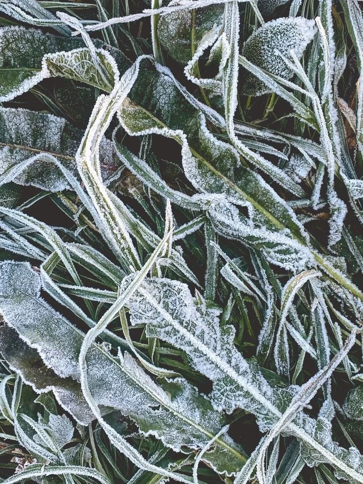 ЭКСТРЕННОЕ ПРЕДУПРЕЖДЕНИЕ об опасном гидрометеорологическом явлении ❄