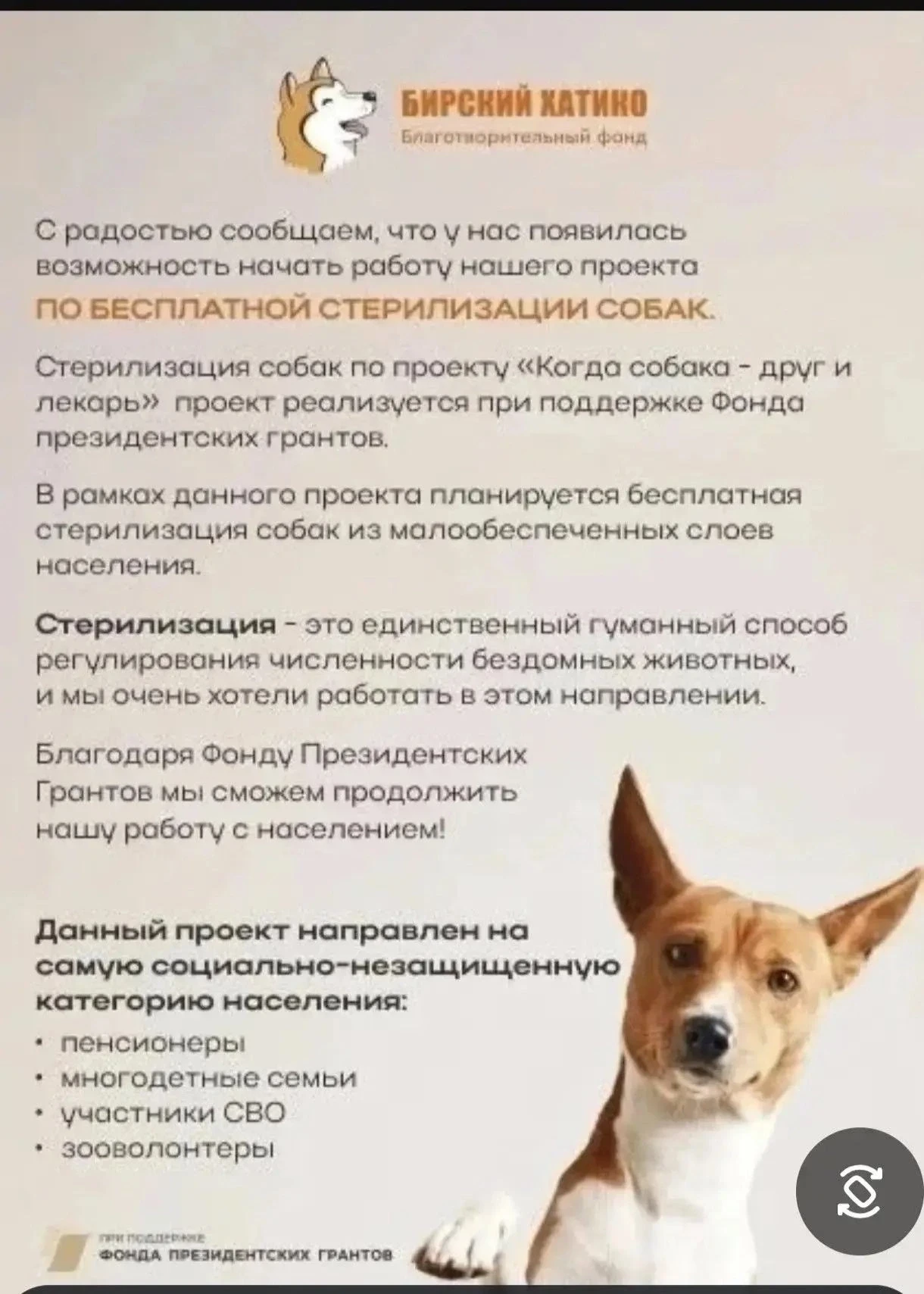 Медиа публикации