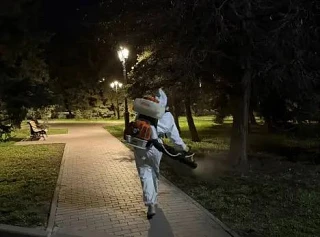 🕷 Ночью в центре Сызрани провели противоклещевую обработку - ранее подрядная организация уже обработ