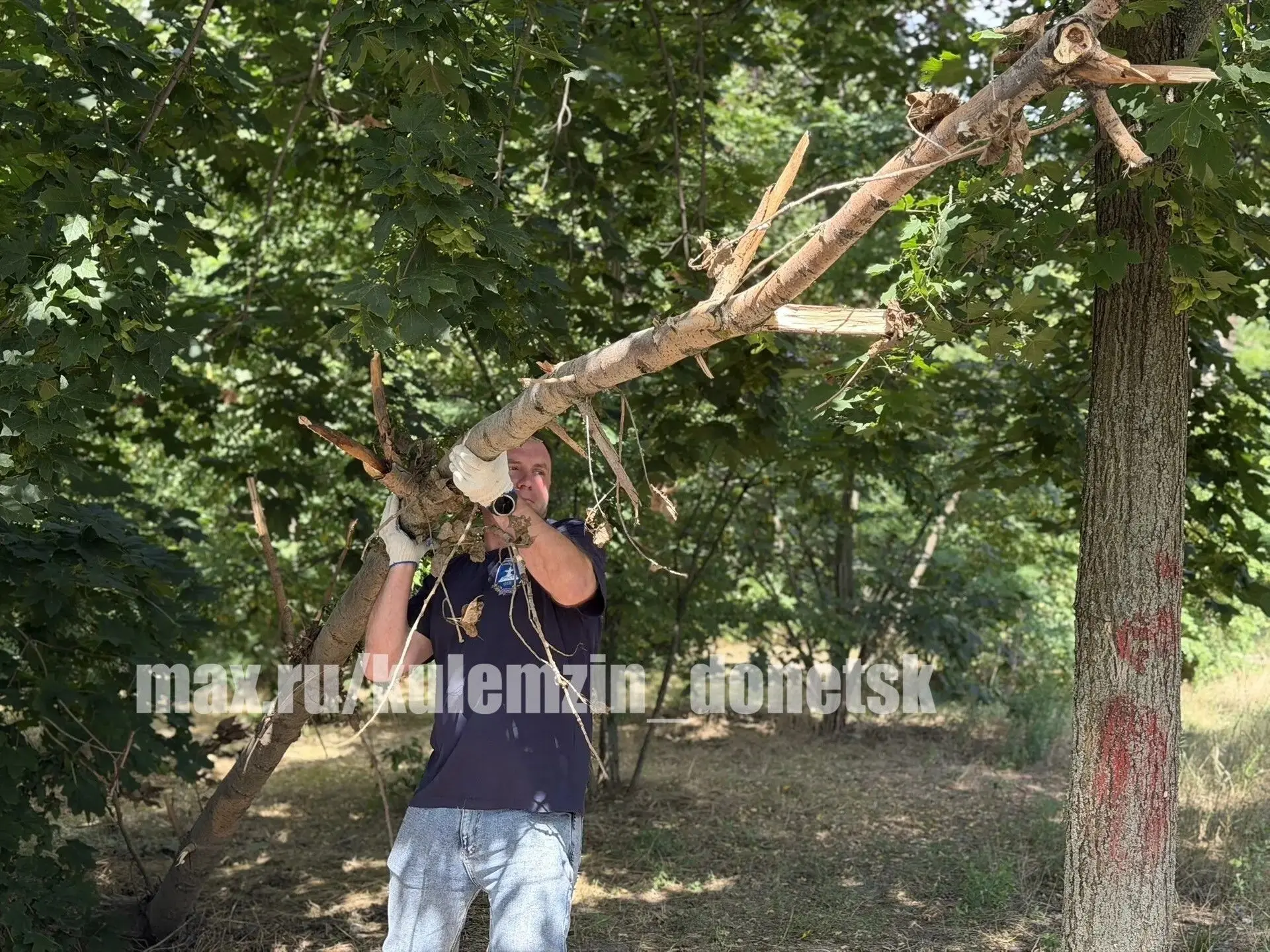 🌳 Акция «Чистый четверг» во всех районах Донецка!