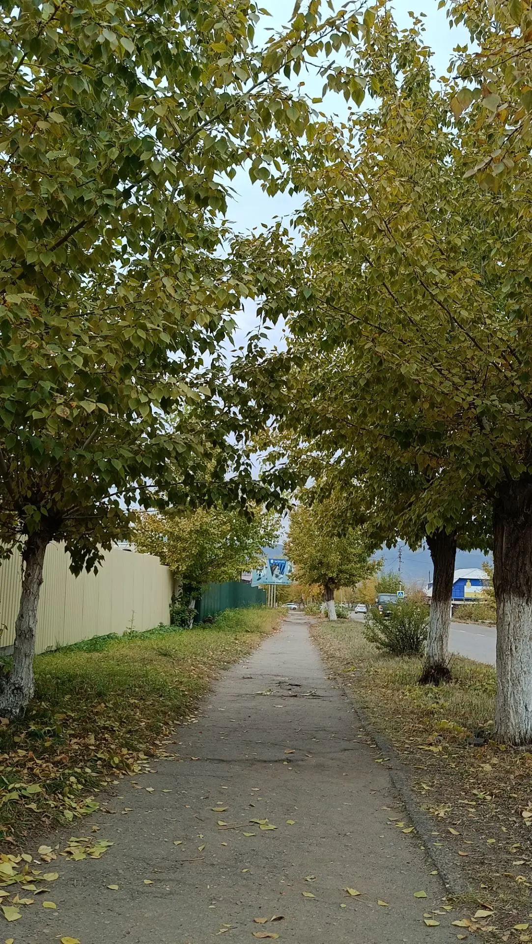 Весь Гусиноозерск в одном фото