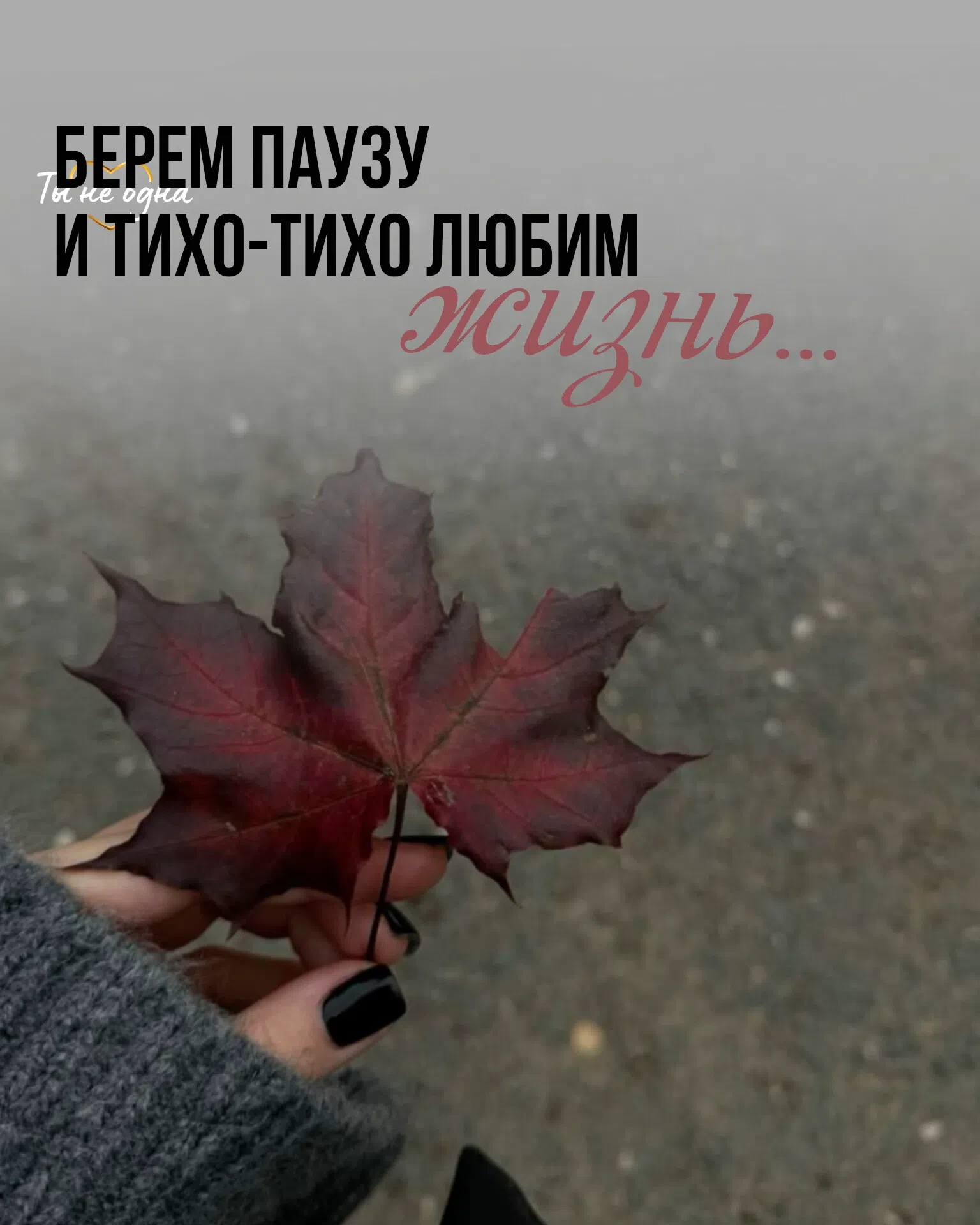* Овен. Сегодня может возникнуть соблазн сразу ответить на чужую дерзость — но именно в...
