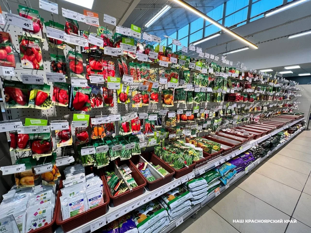🌱 Россельхознадзор выявил нарушения при продаже семян в Красноярске и Берёзовке