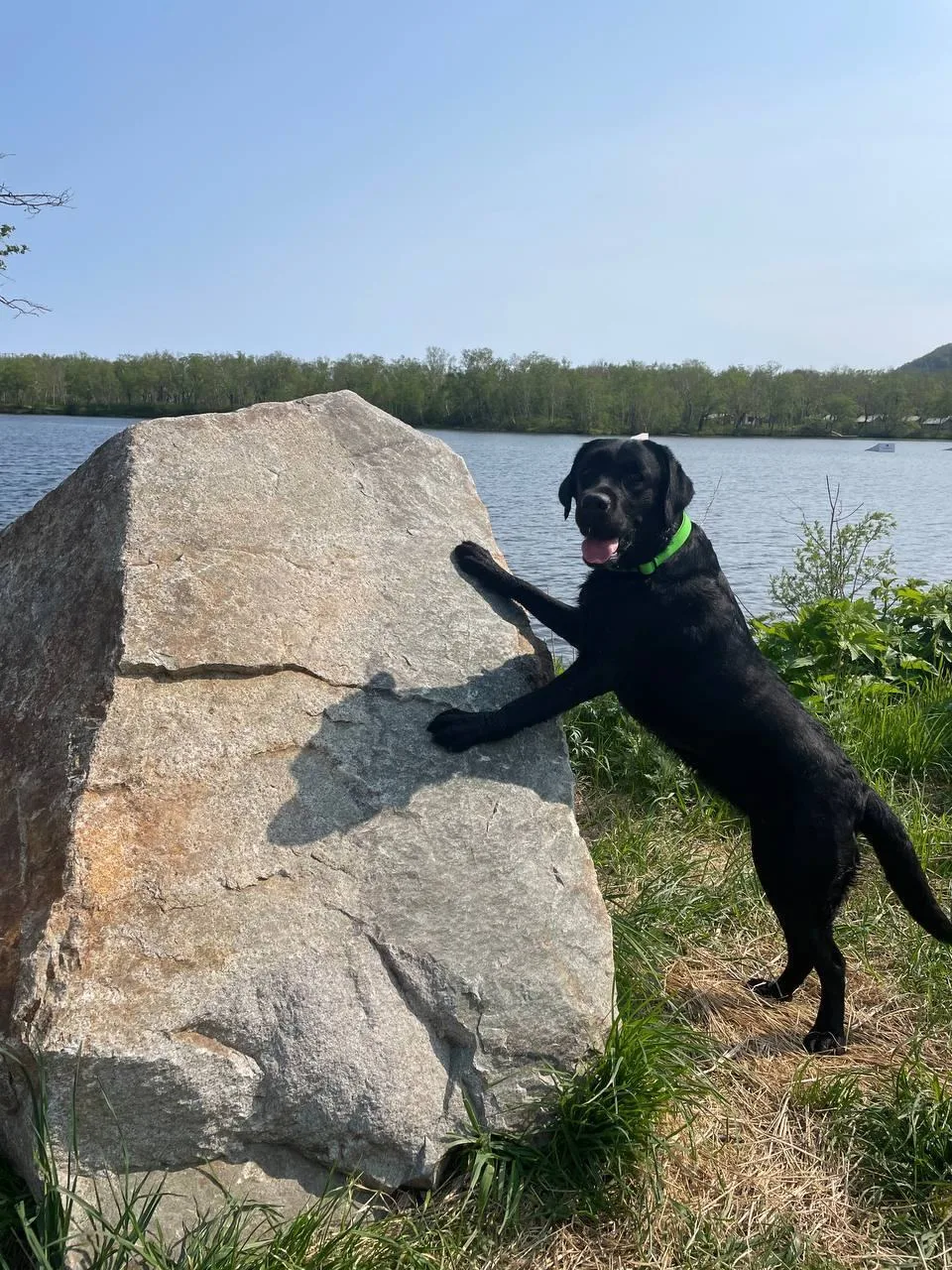 Вместе с Милей готовимся встречать лето! ☀️🌱
