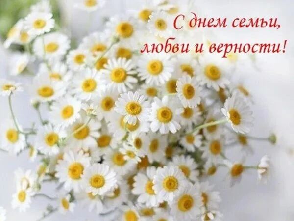 💮С Днём семьи, любви и верности!💮

🤍Дорогие родители, коллеги, наши маленькие воспитанники и их с