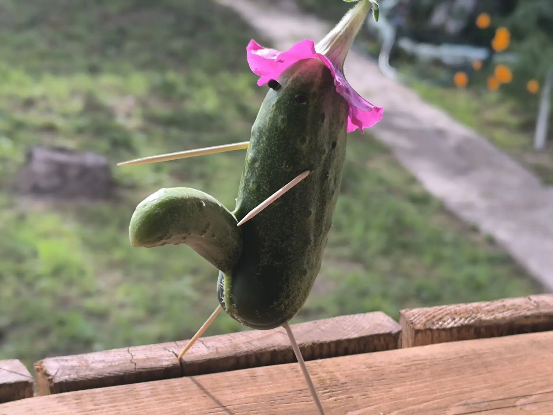 Какое лето, такой и урожай  😁