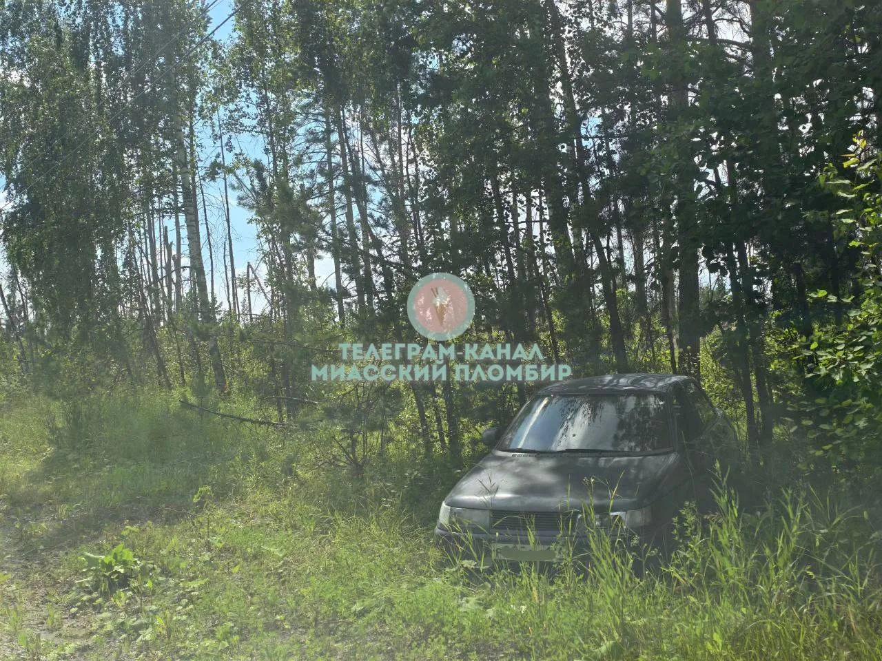 🚗 На Тургоякском шоссе между Машгородком и ГРЦ очередной гонщик устроил заезд и бросил...