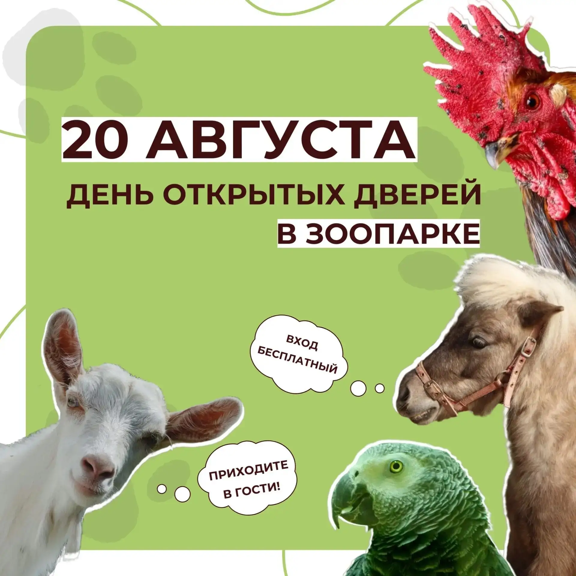 🐴 Республиканский центр экологического образования приглашает в ЗООПАРК