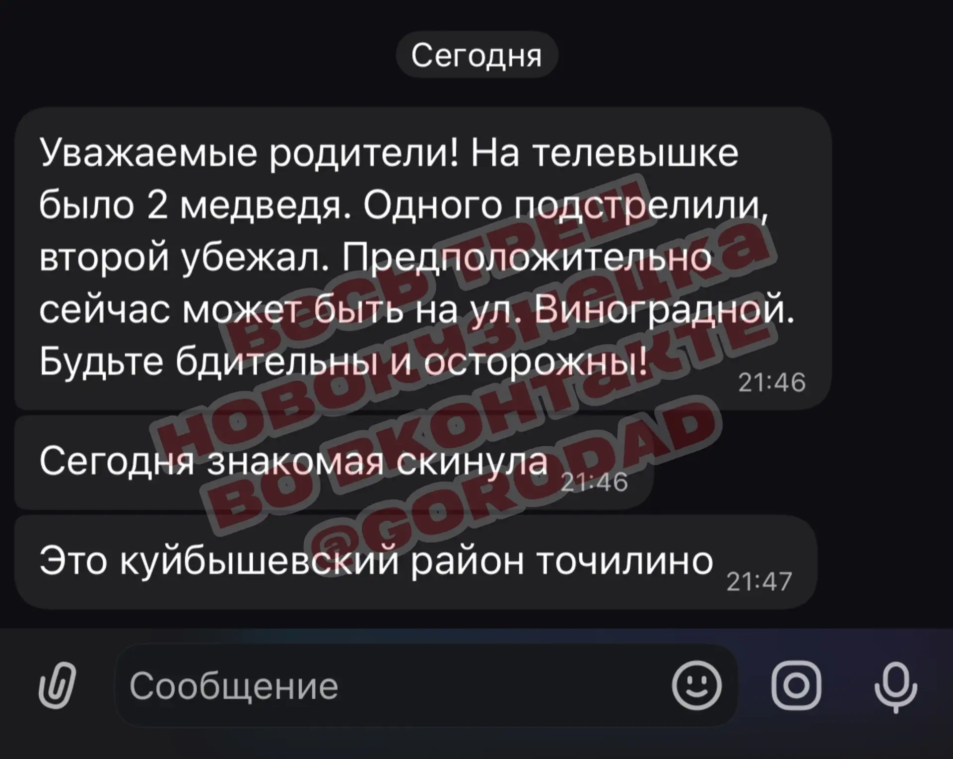 🛑 СЕЙЧАС! СНОВА МЕДВЕДИ В ЧЕРТЕ НОВОКУЗНЕЦКА?
