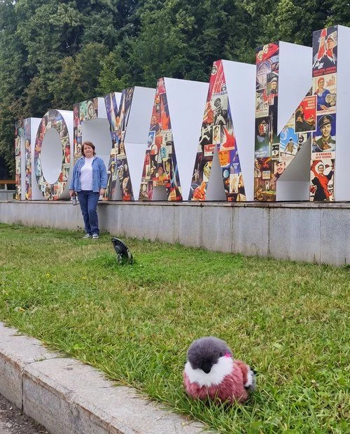 ПРИКЛЮЧЕНИЯ ЗЯБЛИКА

💡 Наш педагог Нина Константиновна Ценина сопроводила Зяблика в путешествии по 