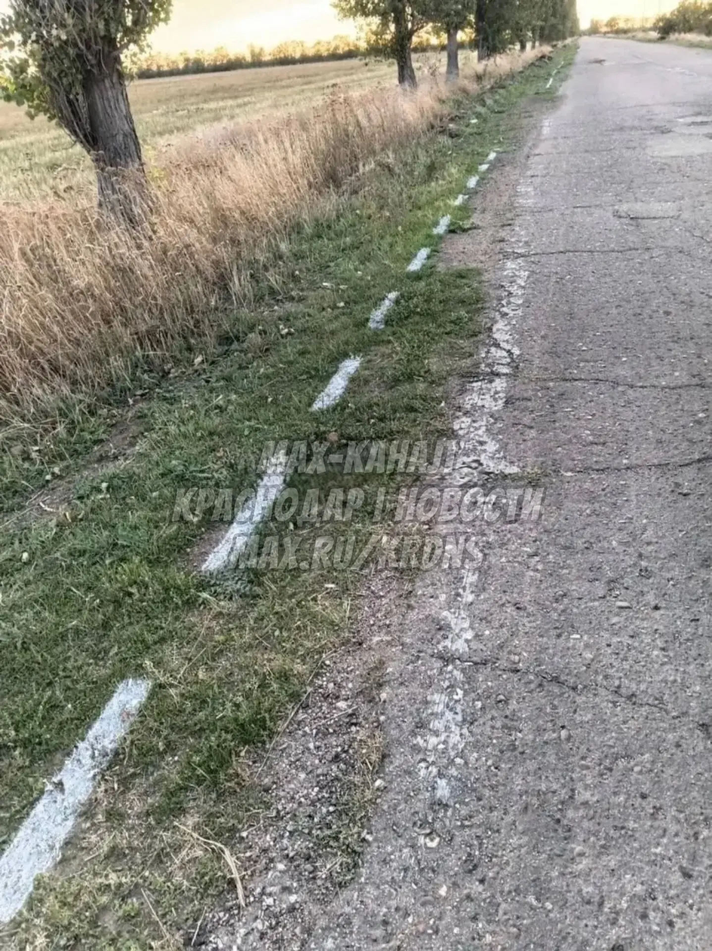 🌀⚡️Под Ейском дорожники убирают разметку с травы