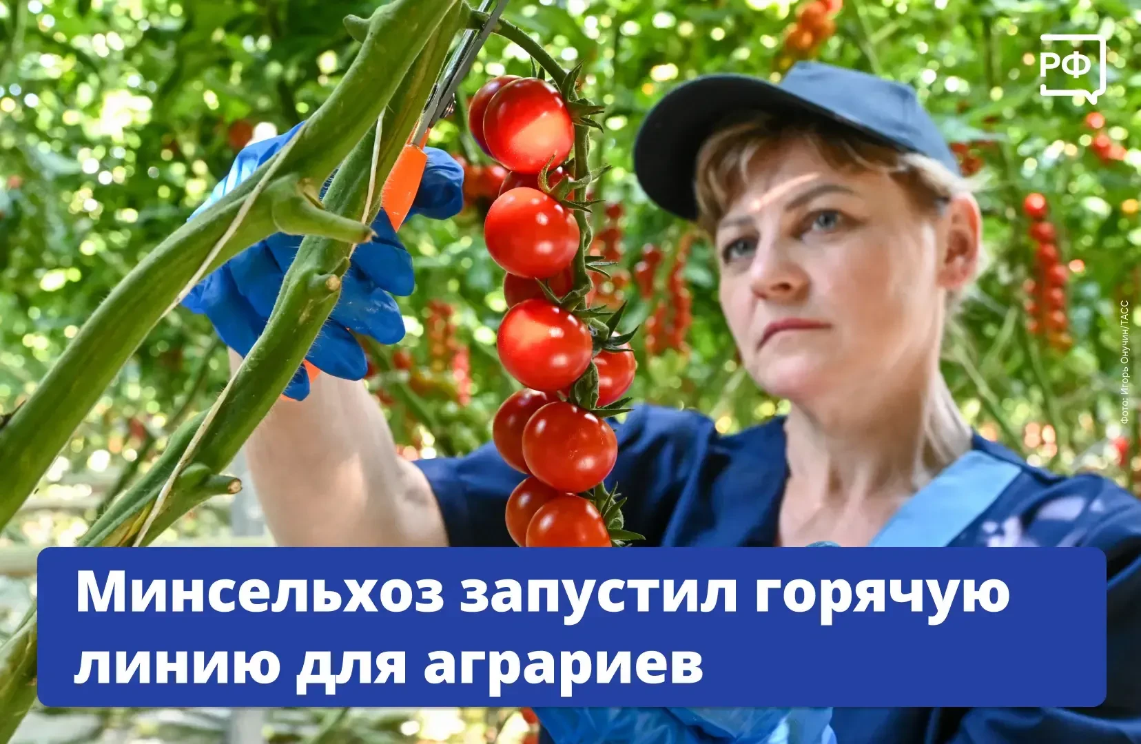 Для фермеров, сельхозорганизаций, предприятий оптовой и розничной торговли заработала к...