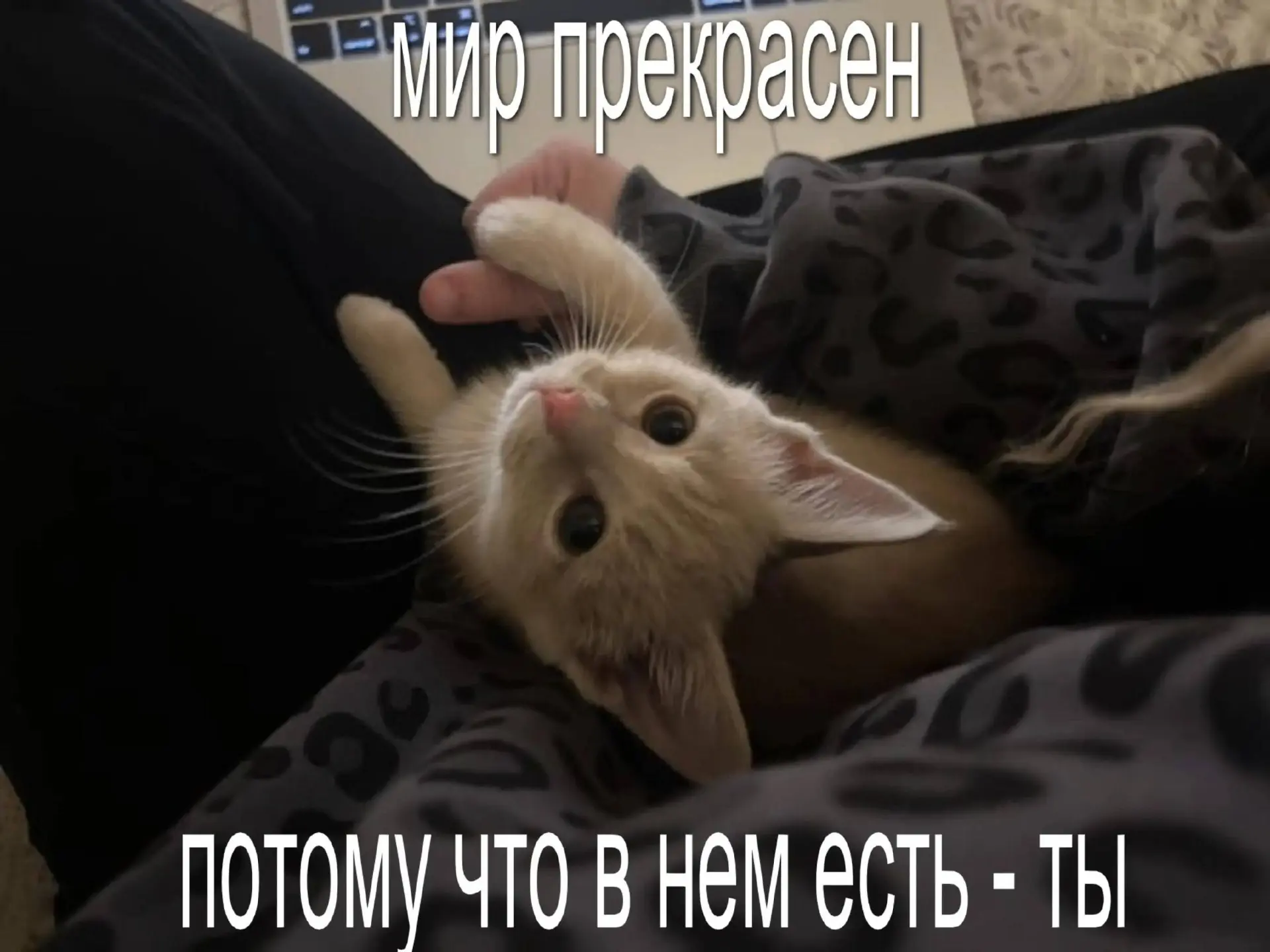 опа, тут тебе сообщение...