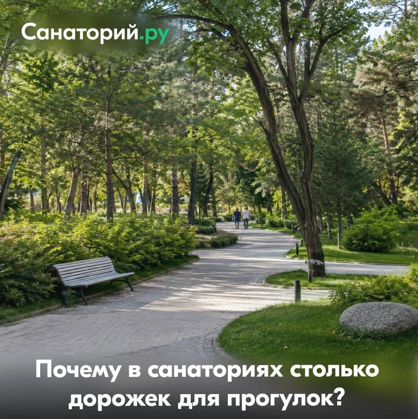 🌳 Почему в санаториях столько дорожек для прогулок?