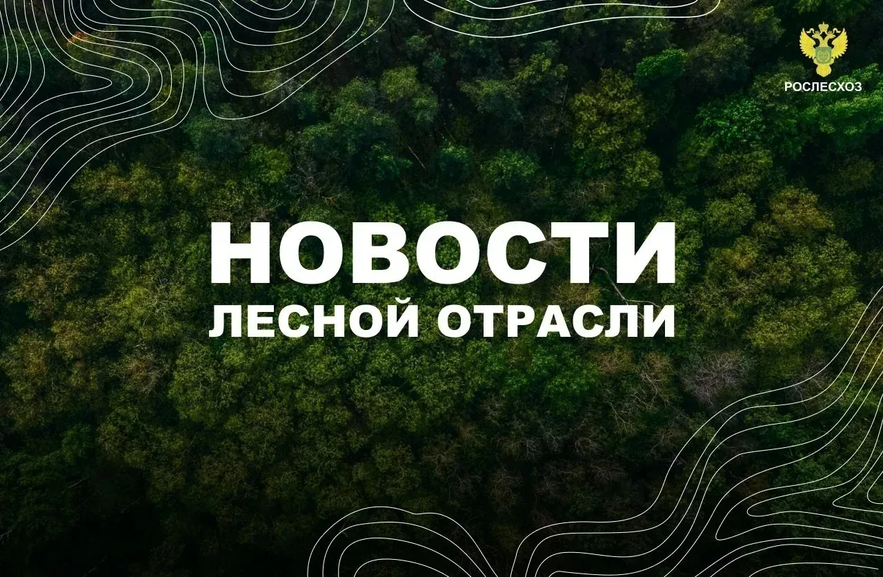 🟢 РИА Новости: Совфед одобрил закон о регулировании правил сплошных и выборочных рубок лесов

🟢 Ин
