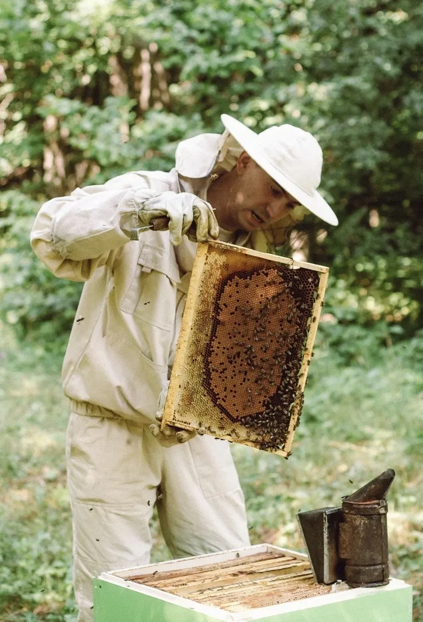 🍯 Сегодня Медовый Спас!