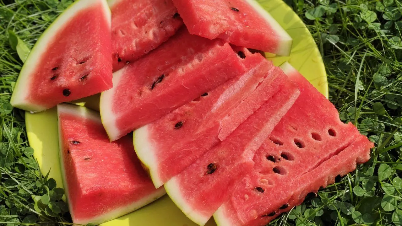 🍉Едим арбуз безопасно.

Арбузы являются хорошей питательной средой для микроорганизмов, так как в о