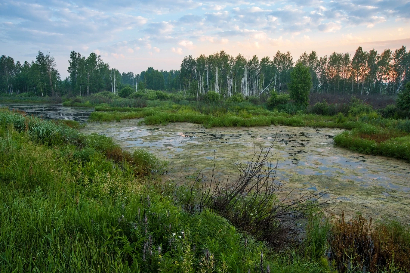 Курганская область,