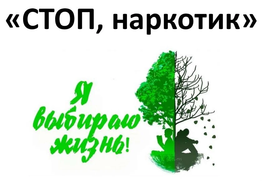 "Профилактика наркомании".