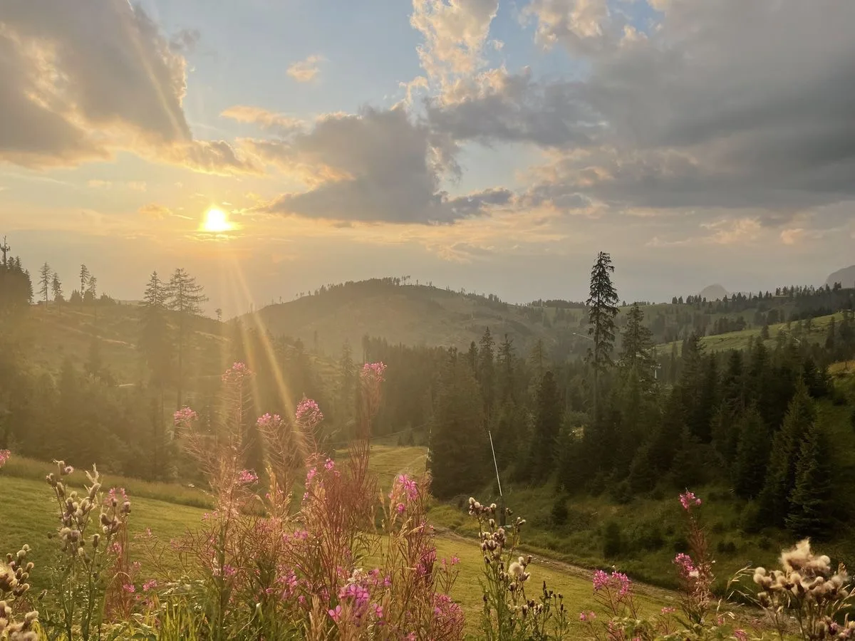 🌿 Самое страшное в переменах — не неизвестность.