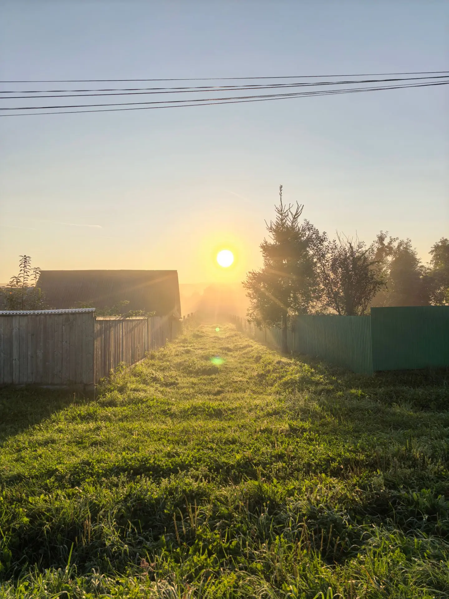 Утро в деревне 🌞 В нашей маленькой деревушке ещё многие смотрят животных. У нас электр...