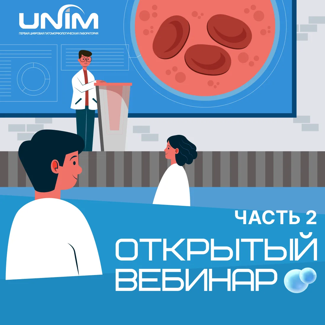 🔬 В-клеточная лимфома, богатая Т-клетками и гистиоцитами: морфология, клиника и разбор...