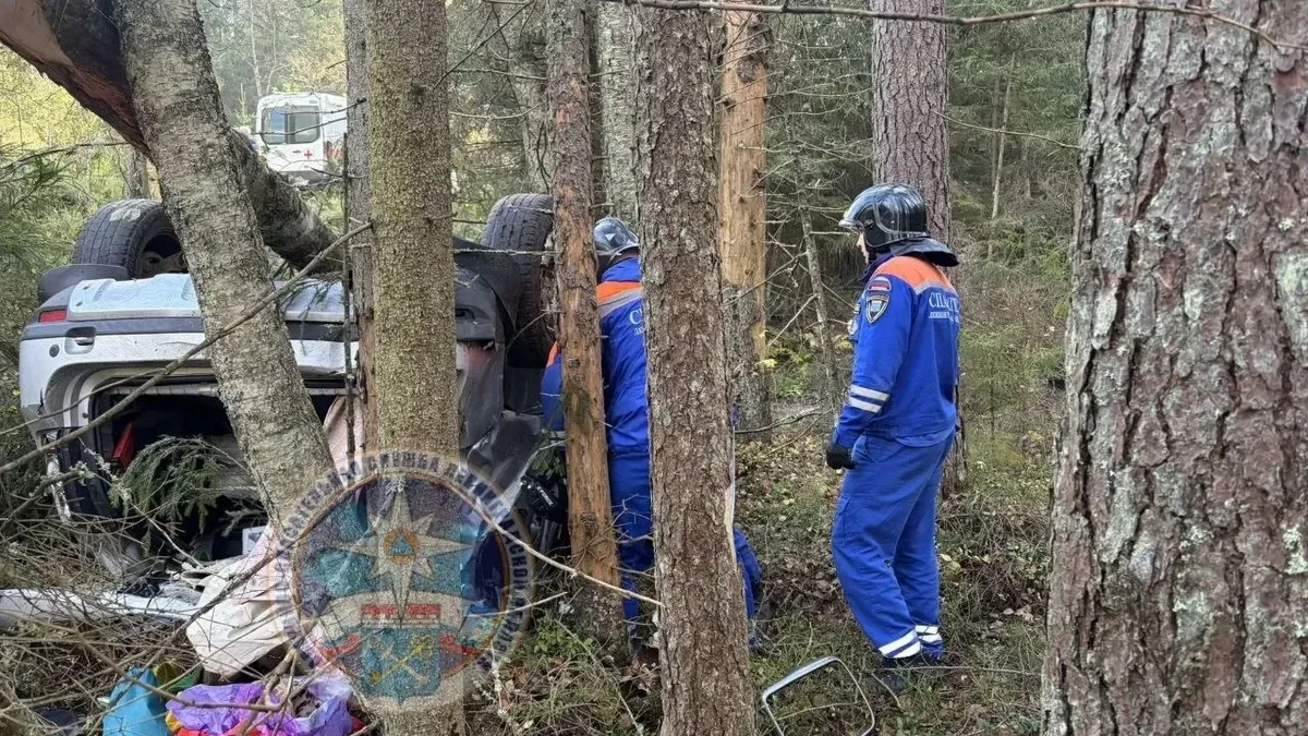 В Приозерском районе Renault Duster вылетел в кювет и перевернулся