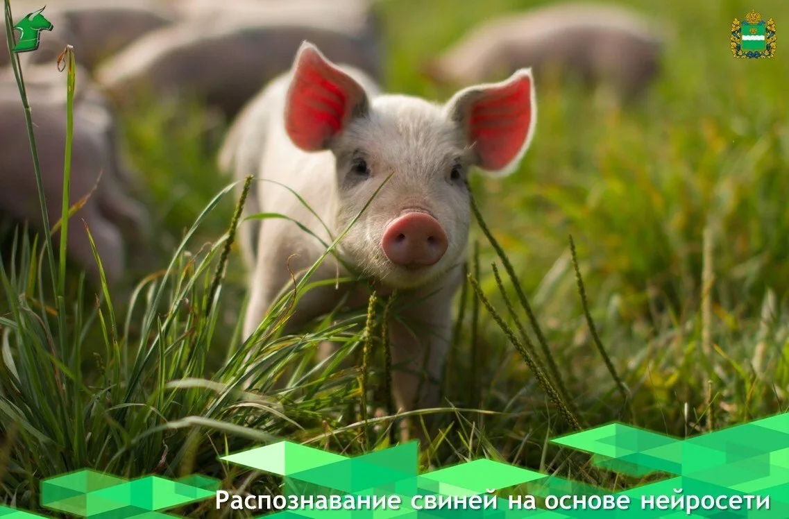 👩🏻‍🔬 Ученые из Белгородского государственного национального исследовательского униве...