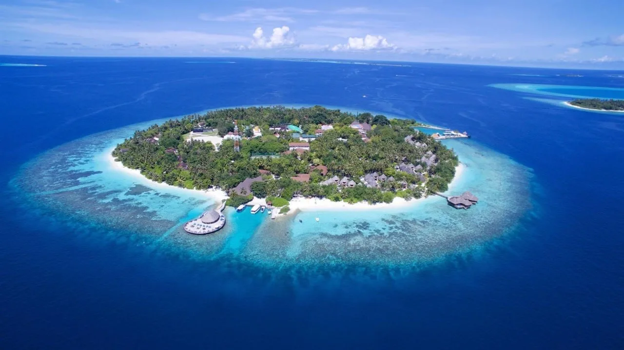 Что не день, то НЕВЕРОЯТНЫЕ предложения.

Сегодня это МАЛЬДИВЫ 🏝️

Сразу перейду к стоимости ➡️

✈️