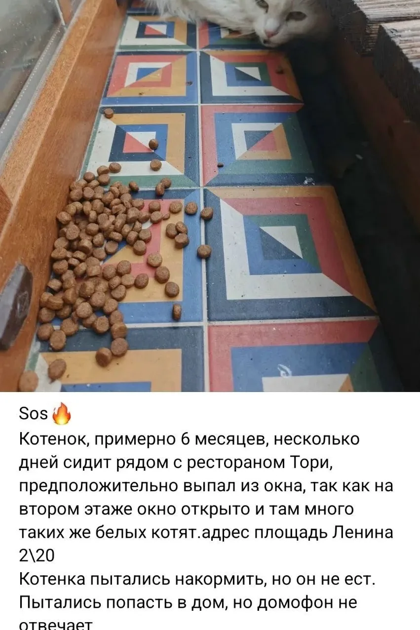 #отподписчика