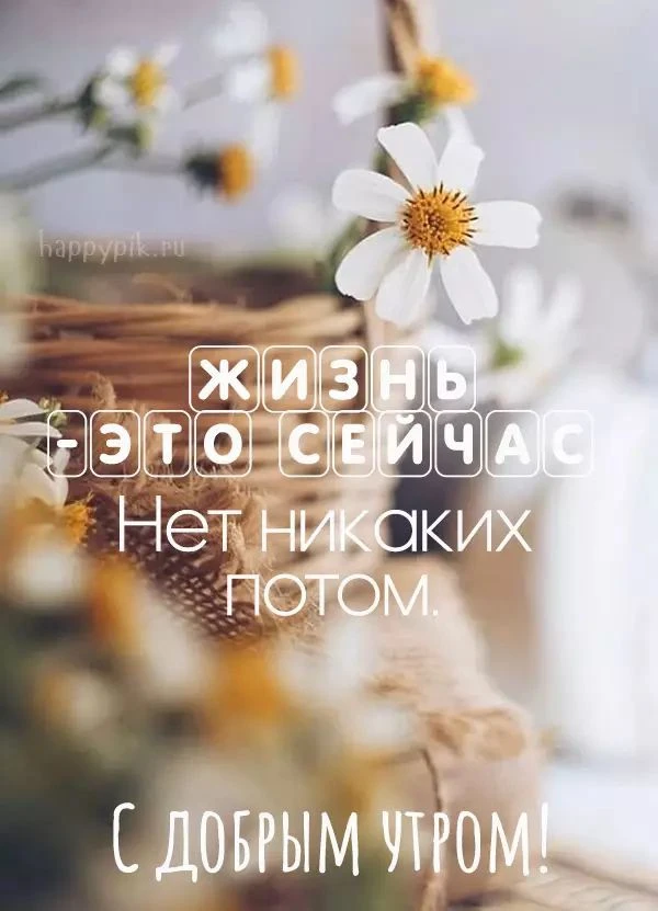 🌾 Друзья, с добрым утром))