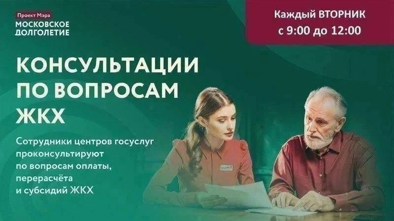 Дорогие друзья,