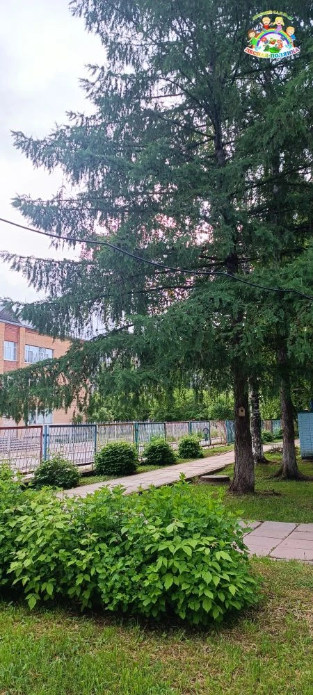 С добрым утром от МБДОУ 🏞️✨
