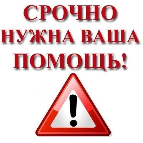 Друзья!
