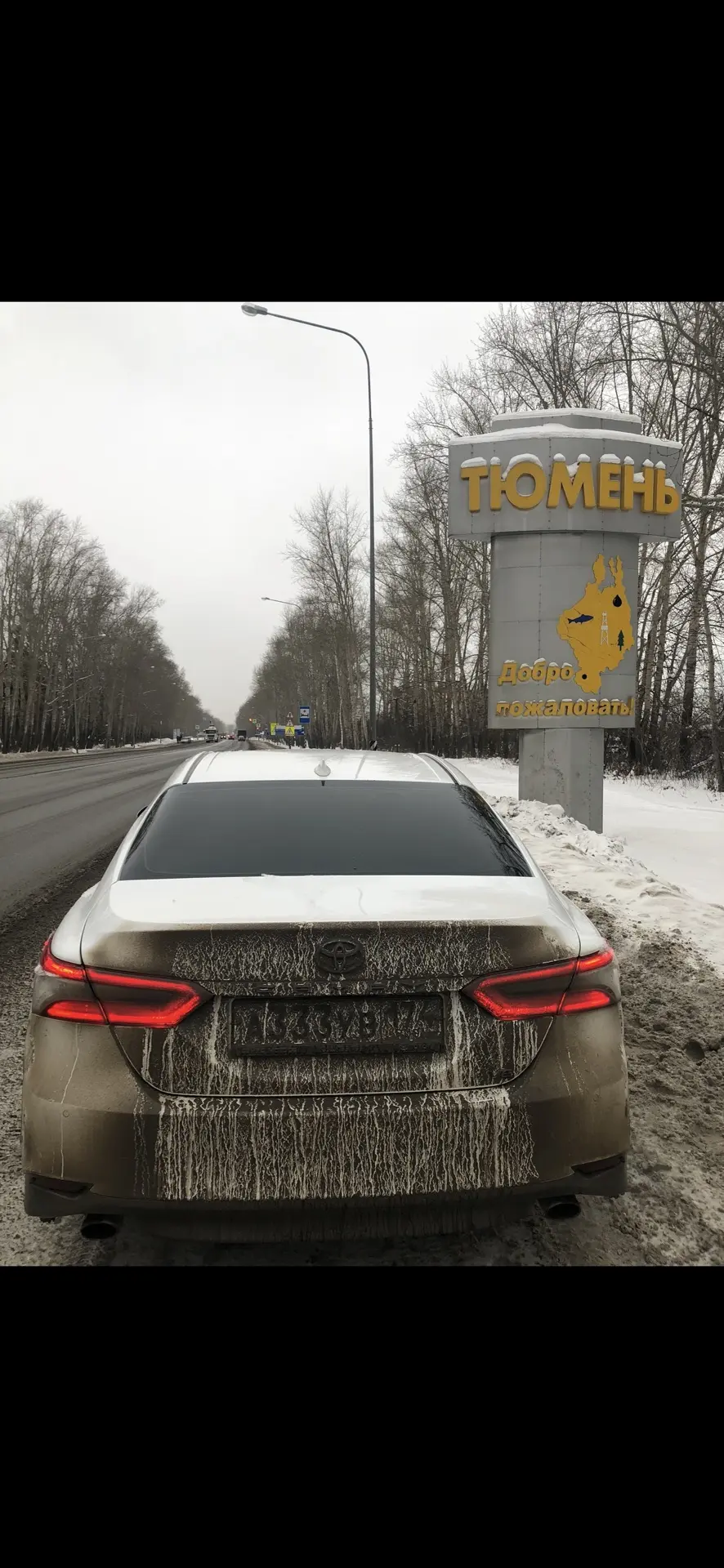 Стодневка собственника юр. бизнеса, день 16.