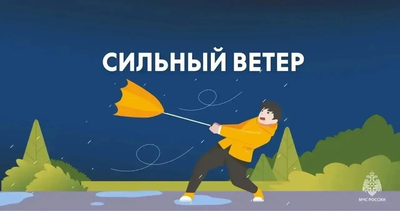 ❗️ На Орловщине ожидаются порывы ветра до 20 м/с