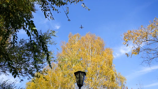 Погода в Новосибирске 6 октября
