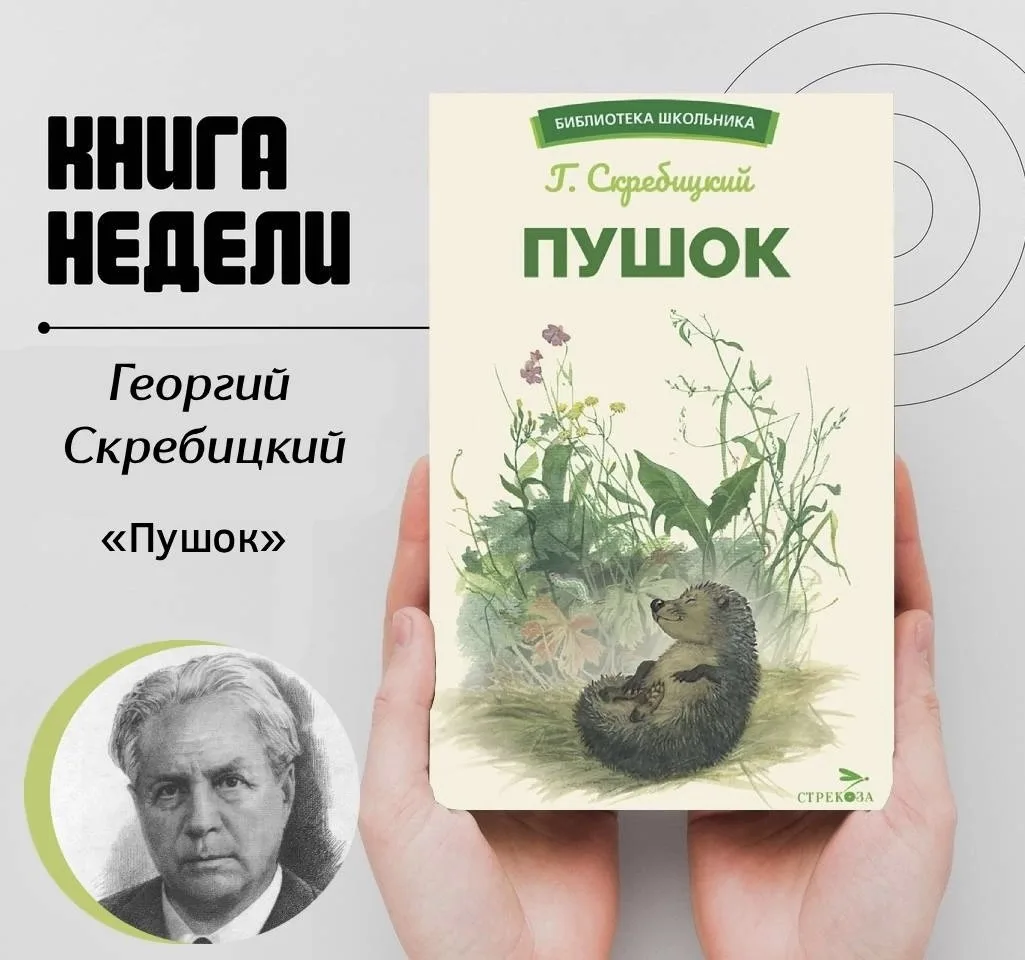 ПУШОК

Рассказ Георгия Скребицкого «Пушок» - это трогательная история о ручном ёжике и мальчике. 
Ле