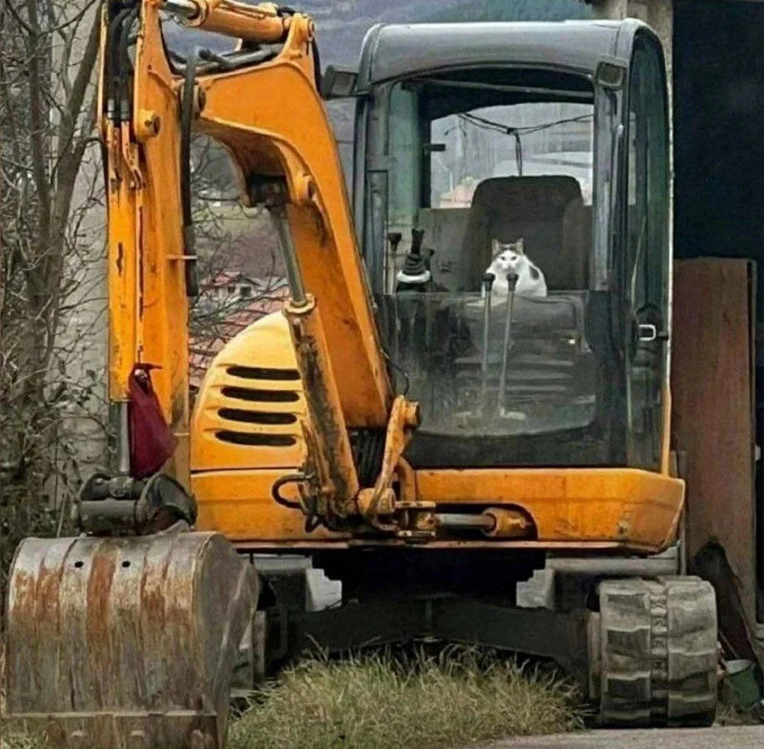 Я *пытаюсь уснуть*