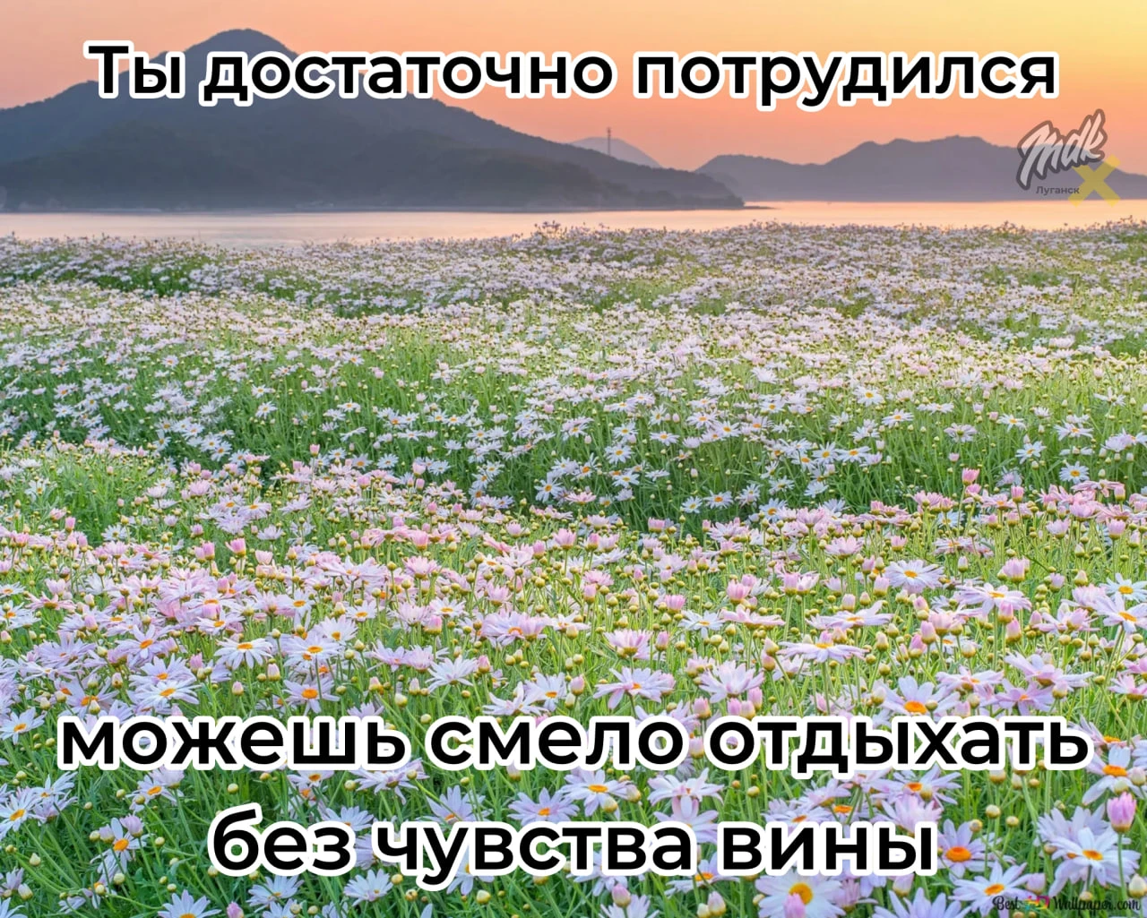 Отдыхайте, котятки
