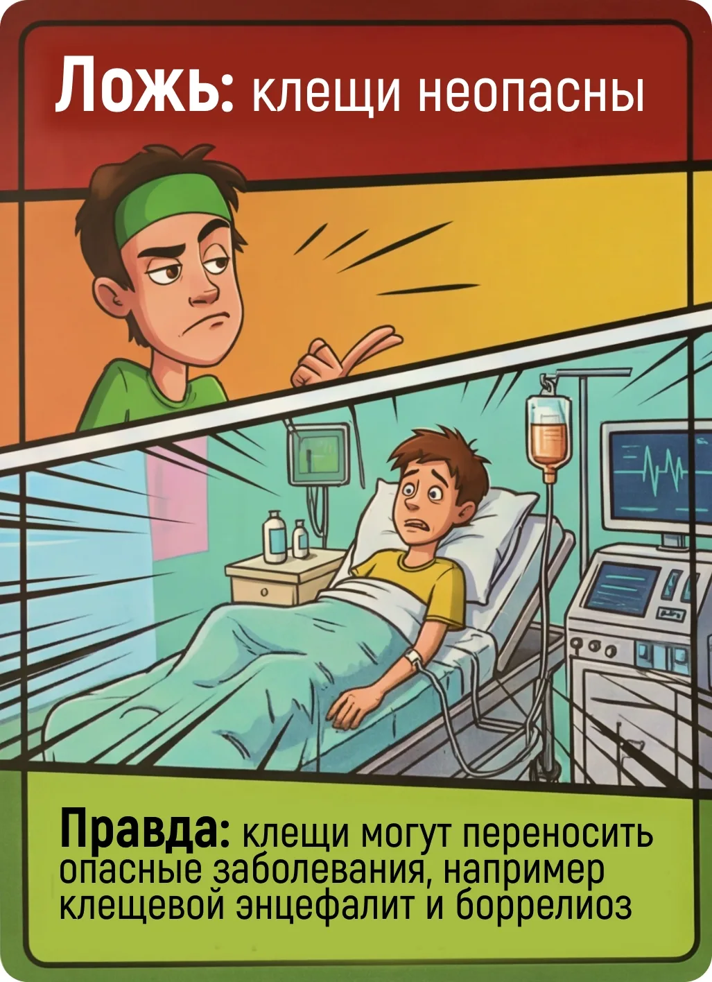 Развеем мифы о клещах и убережем себя
