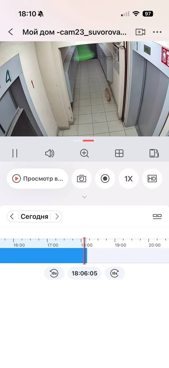 122В 2 подъезд,чей рыжий кот потерялся? Его женщина из подъезда выгнала