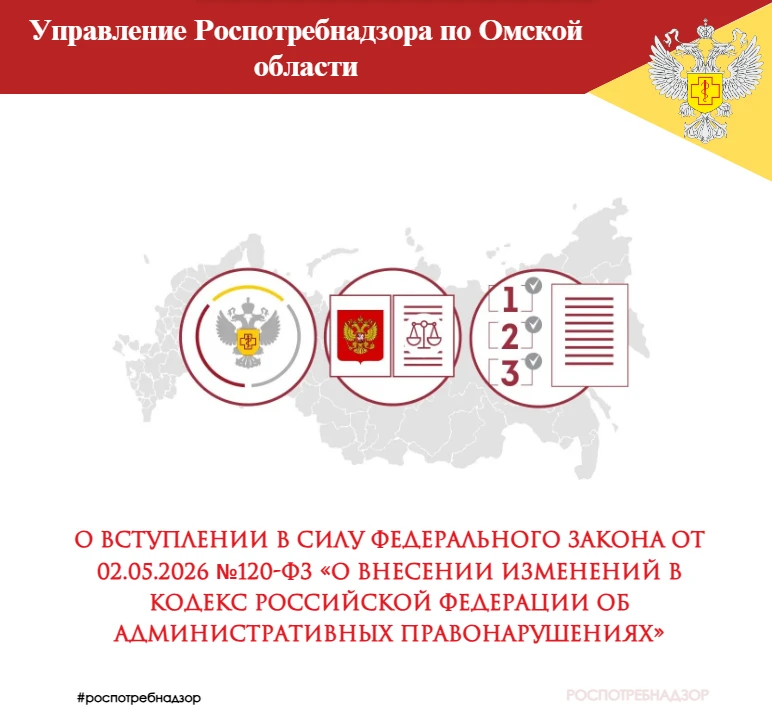 1️⃣ Что такое «Автоштрафы»?