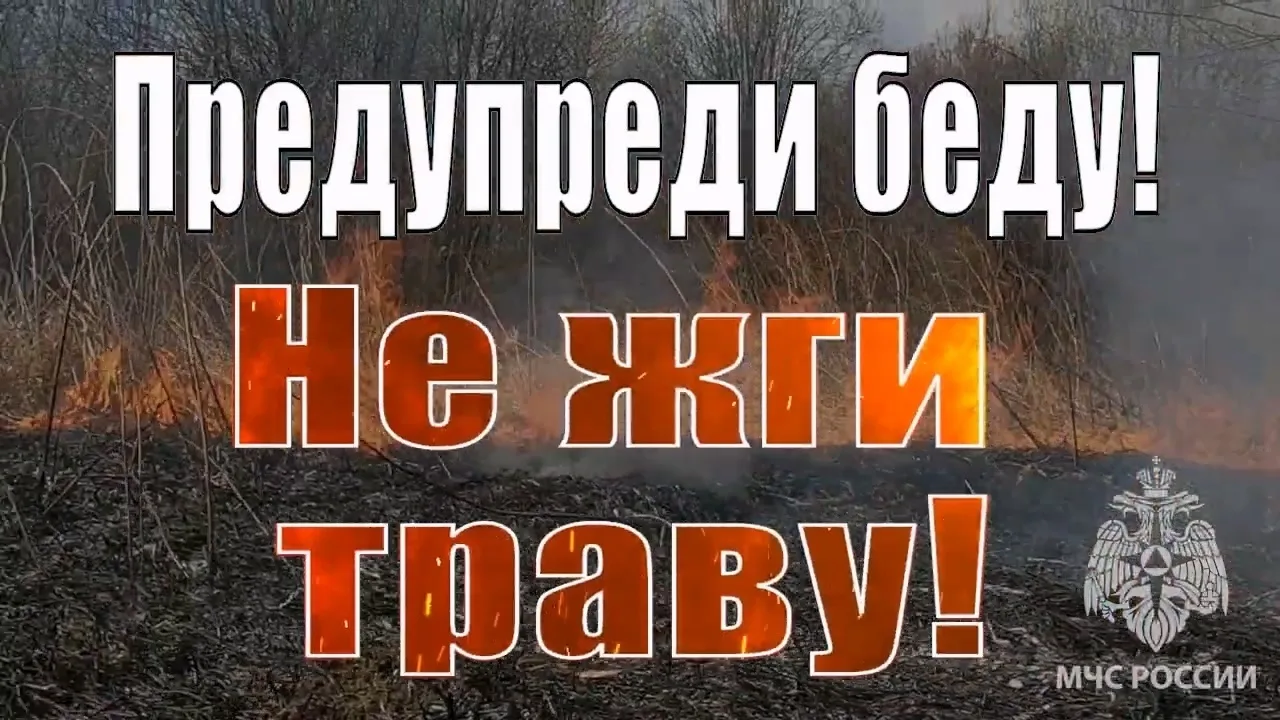 🔥 Сухая трава – не мусор, а угроза
