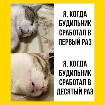 Полный Хохотамбл! Подпишись скорее