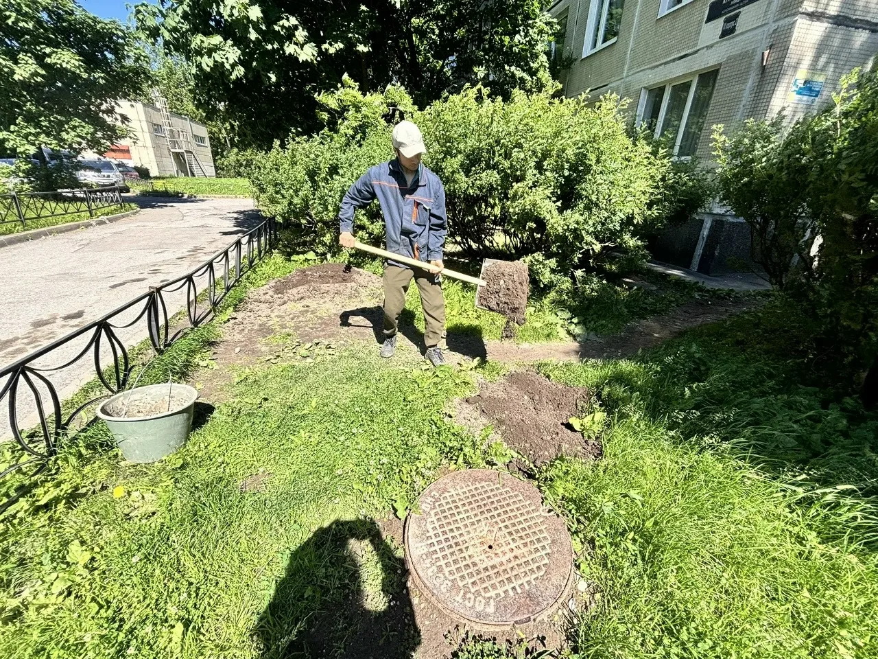 🌿 Иногда для того, чтобы во дворе стало больше зелени, сначала нужно привезти несколько тонн обычно
