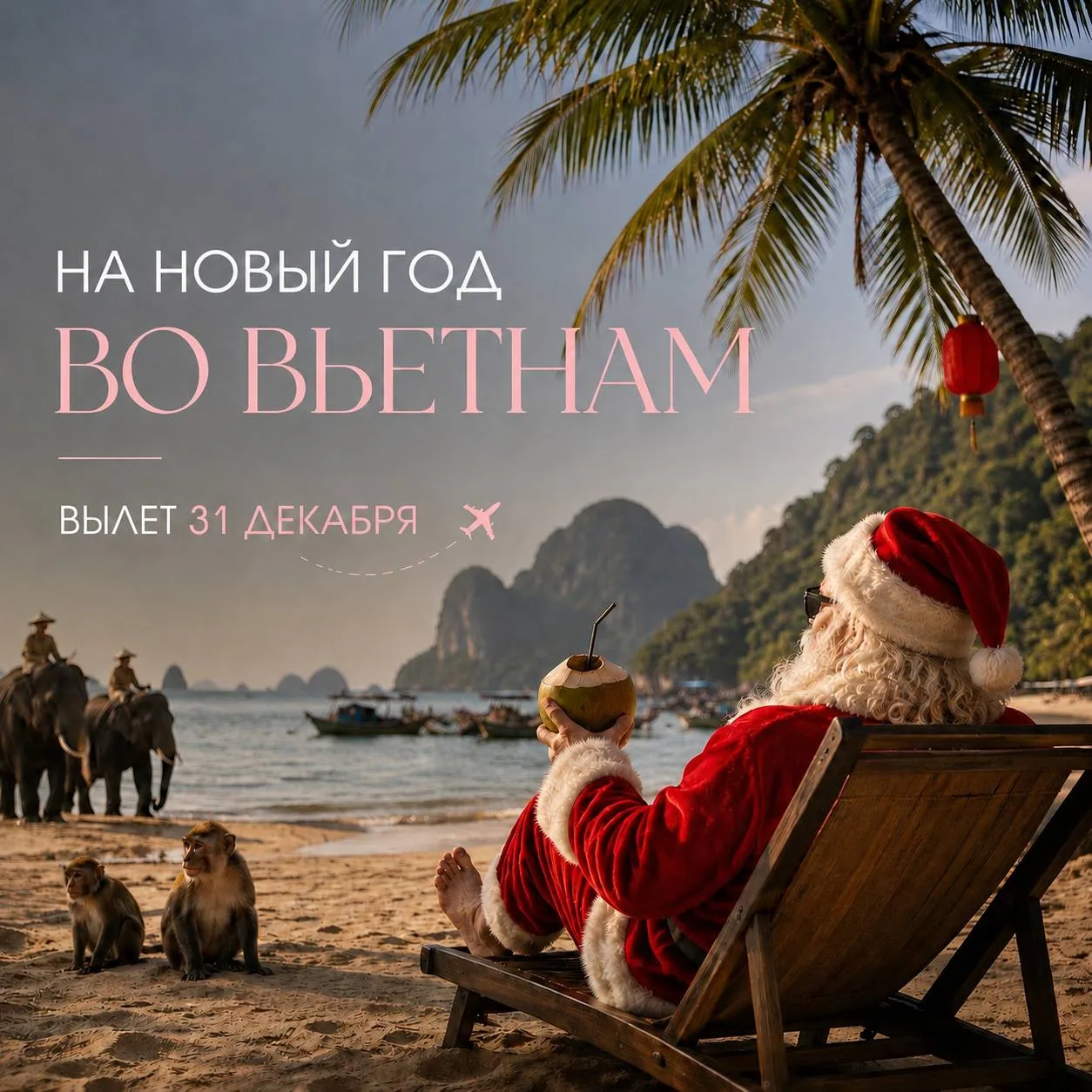 Новый год + Вьетнам = почему бы и да? 😍🇻🇳
