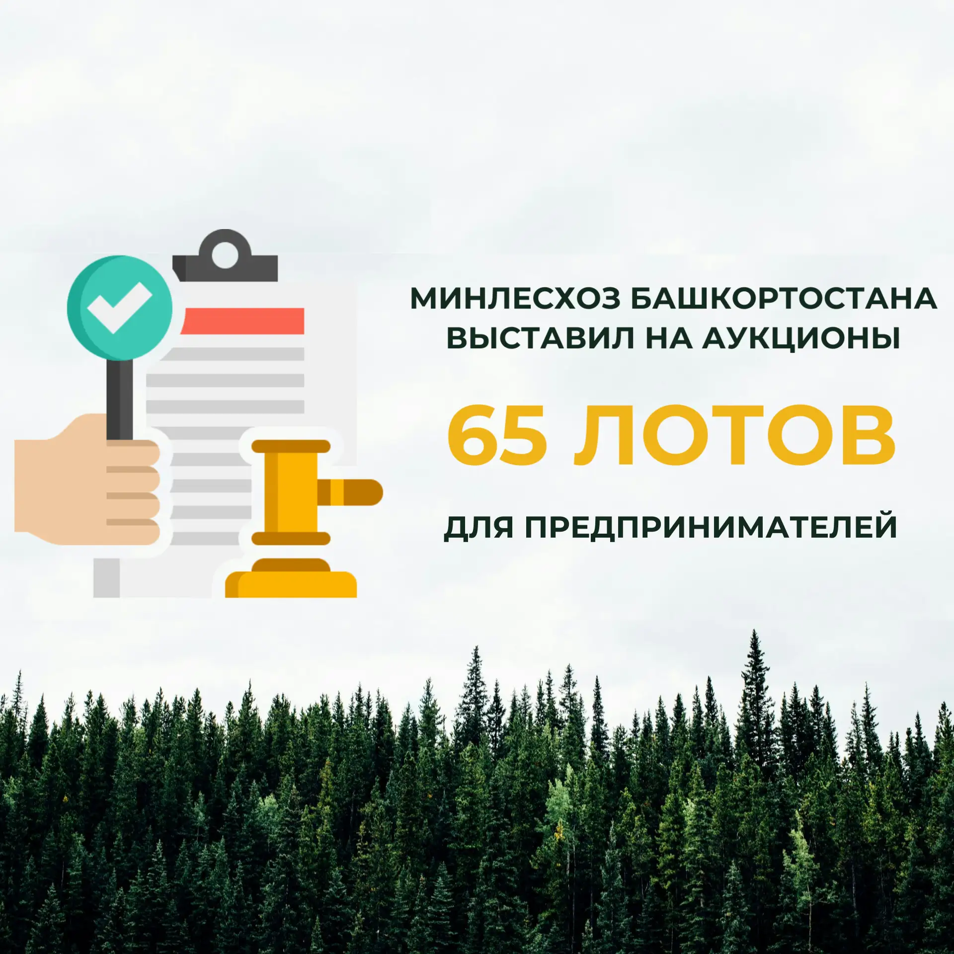 Министерство лесного хозяйства Республики Башкортостан выставило на аукционы 65 лотов для предприним