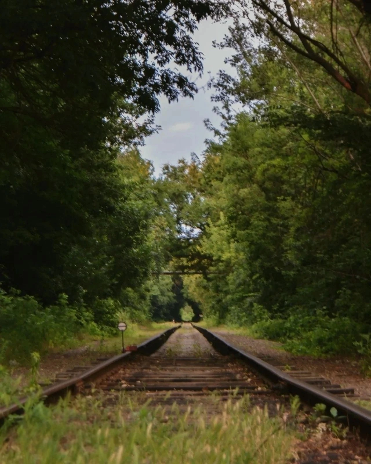 🚂 Кладбище поездов на Западном — место с особой атмосферой.